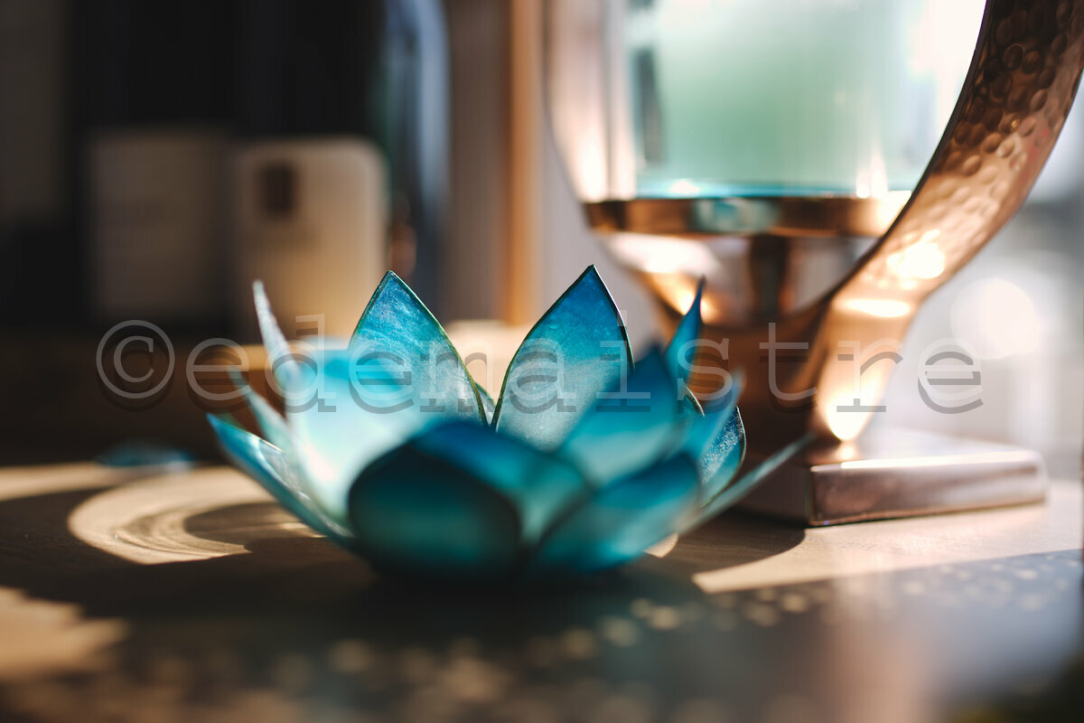 décoration florale turquoise