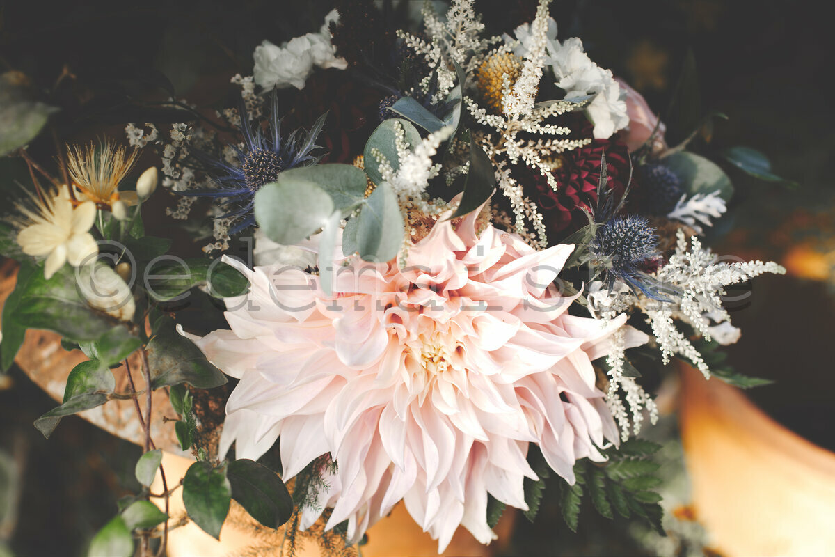 Bouquet de fleur avec un énorme dahlia